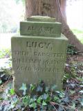 image of grave number 931606